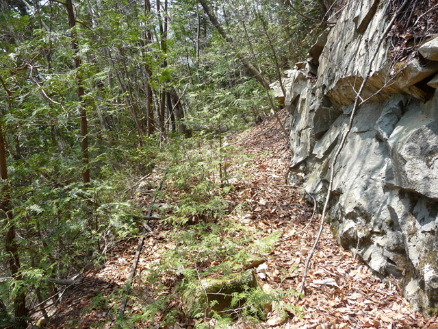 ����X�ѓS�����͐�,�ѓS,�p����,�O����,�㕔�O��