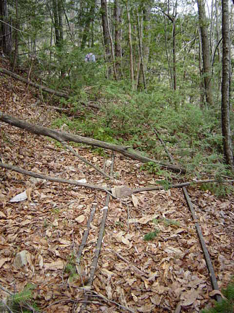 ����X�ѓS�����͐�,�ѓS,�p����,�O����,�㕔�O��