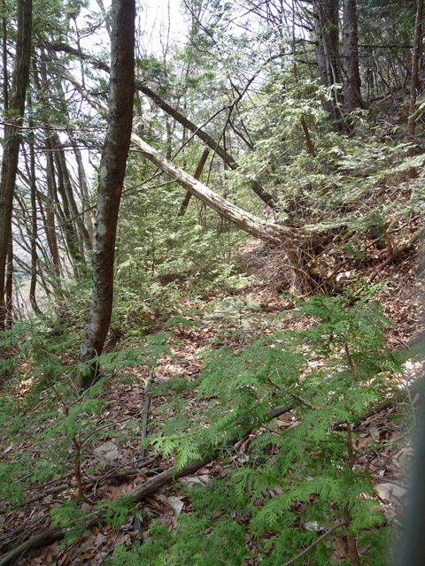 ����X�ѓS�����͐�,�ѓS,�p����,�O����,�㕔�O��