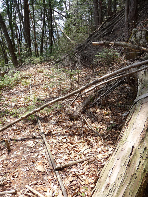 ����X�ѓS�����͐�,�ѓS,�p����,�O����,�㕔�O��