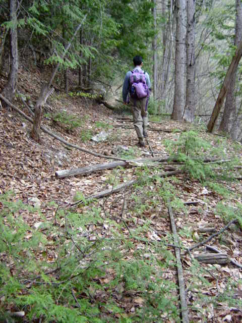 ���͗ѓS,�X�ѓS��,�p����,�㕔�O��,�O����,����c�я�,���