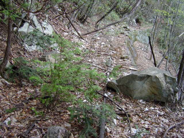 ���͗ѓS,�X�ѓS��,�p����,�㕔�O��,�O����,����c�я�,���