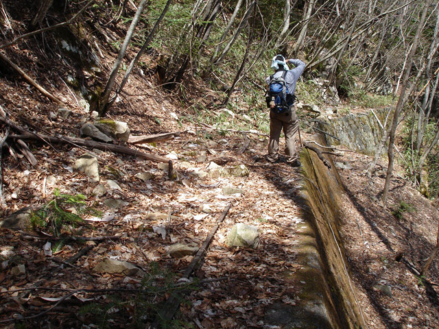 ���͗ѓS,�X�ѓS��,�p����,�㕔�O��,�O����,����c�я�,���