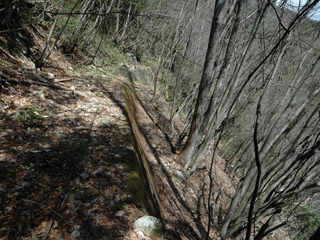 ���͗ѓS,�X�ѓS��,�p����,�㕔�O��,�O����,����c�я�,���