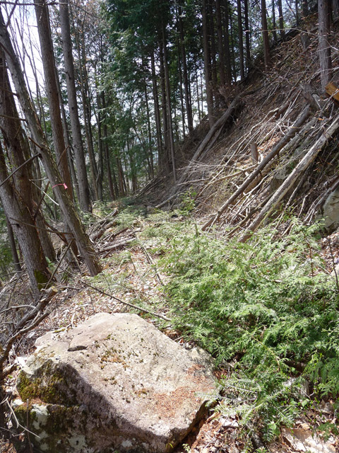 ���͗ѓS,�X�ѓS��,�p����,�㕔�O��,�O����,����c�я�,���