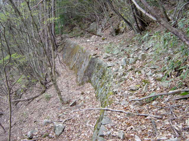 ���͐X�ѓS��,�ѓS,�p����,����c�я�,�O����,���,�㕔�O��