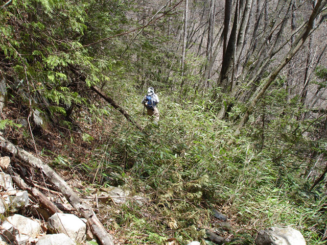 ���͐X�ѓS��,�ѓS,�p����,����c�я�,�O����,���,�㕔�O��