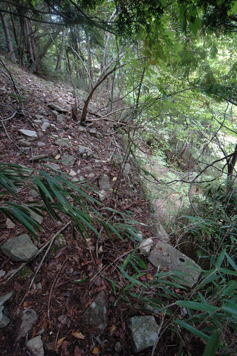 ���͐X�ѓS��,�ѓS,�p����,����c�я�,�㕔��,�؍މ^���O����,�H��