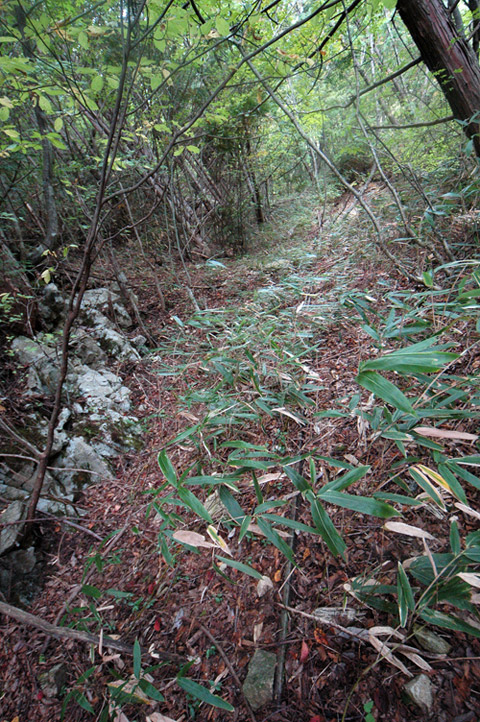 ���͐X�ѓS��,�ѓS,�p����,����c�я�,�㕔��,�؍މ^���O����,�ѓ�