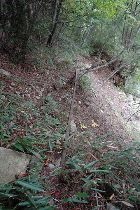 ����X�ѓS�����͐�,�ѓS,�p����,�g���b�R�O����,�㕔��,��������,���[��