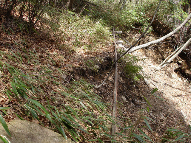 ����X�ѓS�����͐�,�ѓS,�p����,�g���b�R�O����,�㕔��,��������,���H