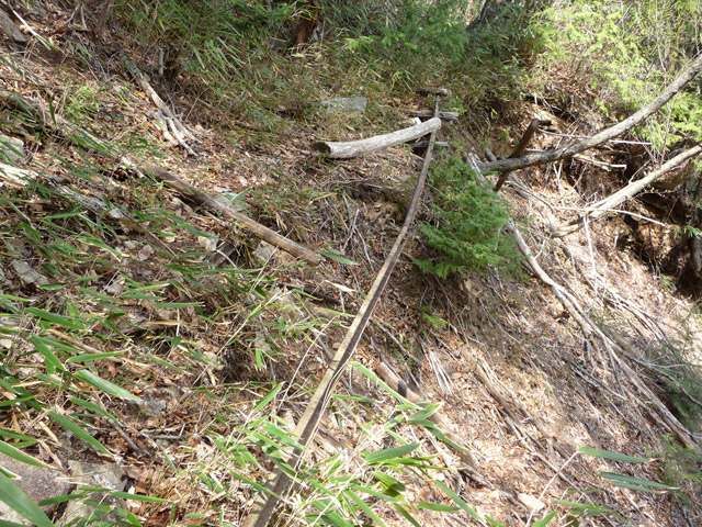 ����X�ѓS�����͐�,�ѓS,�p����,�g���b�R�O����,�㕔��,��������,���[��