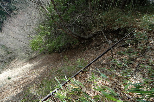 ���͐X�ѓS��,�ѓS,�p����,����c�я�,�㕔�O��,���[��,��������