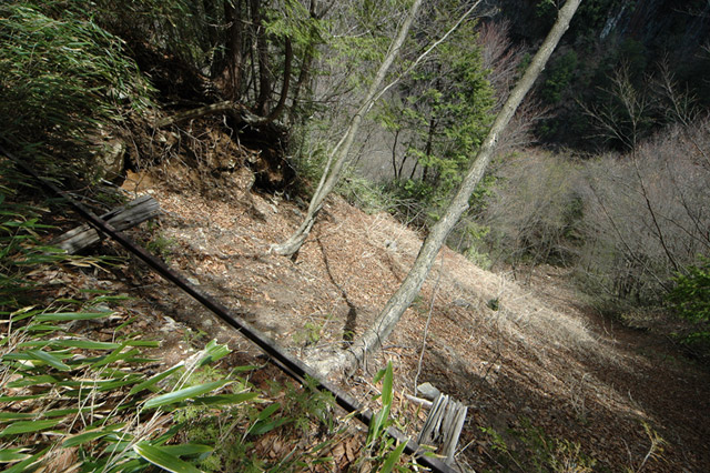 ���͐X�ѓS��,�ѓS,�p����,����c�я�,�㕔�O��,���[��,��������