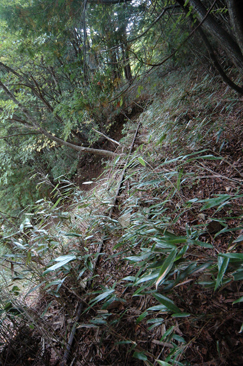 ���͐X�ѓS��,�ѓS,�p����,����c�я�,�㕔�O��,���[��,��������,���H