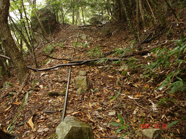 ���͐X�ѓS��,�ѓS,�p����,�c�я��O����,�O��,���[��