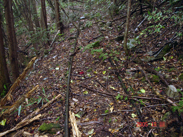 ����X�ѓS�����͐�,�ѓS,�p����,�؍މ^���O����,��r�ʐ^,�O��