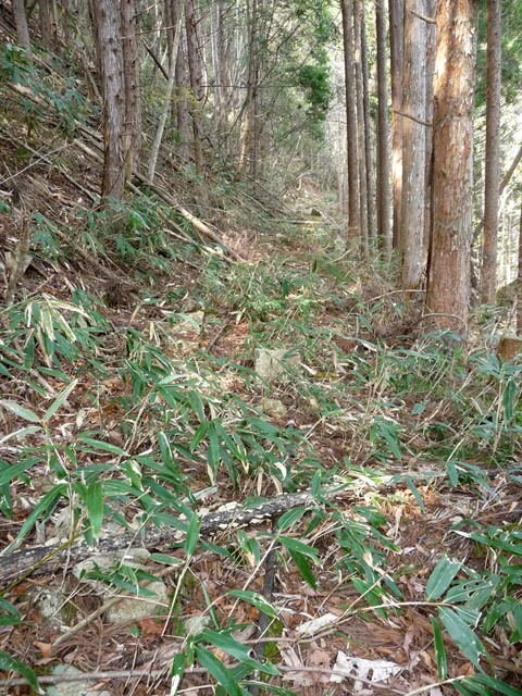 ���͐X�ѓS��,�ѓS,�p����,�i���[�O����,����c�я�,����