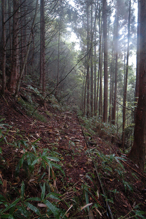 ���͐X�ѓS��,�ѓS,�p����,�g���b�R�O����,��ˏ���,�ѓ�