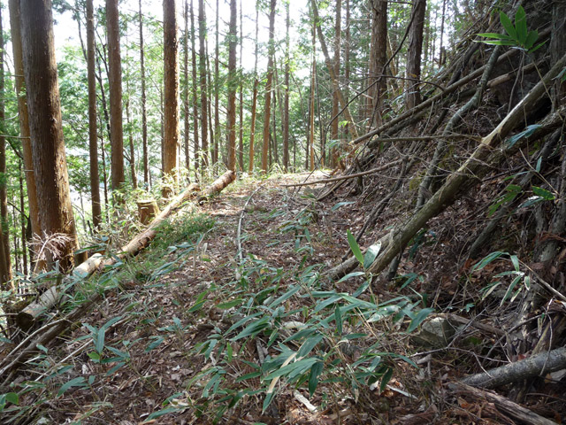 ���͐X�ѓS��,�ѓS,�p����,�؍މ^���O����,�x�J,�����T�R