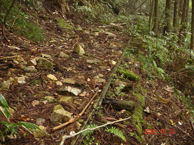 ����X�ѓS�����͐�,�ѓS,�p����,�؍މ^���O����,����,���H