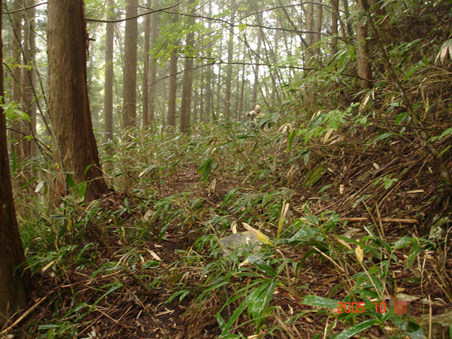 ����X�ѓS�����͐�,�ѓS,�p����,�؍މ^���O����,����,�H��