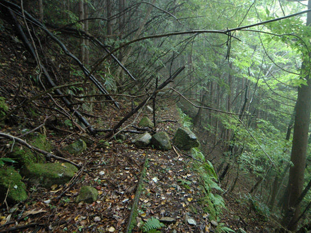 ����X�ѓS�����͐�,�ѓS,�p����,�؍މ^���O����,�ы�,����