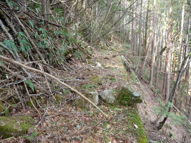 ����X�ѓS�����͐�,�ѓS,�p����,�؍މ^���O����,��r�ʐ^,��_�ϑ�