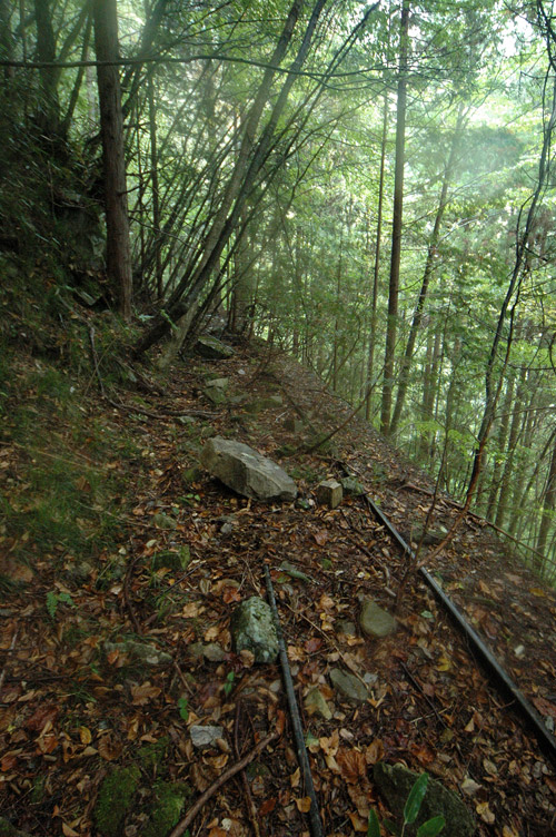 ����X�ѓS�����͐�,�ѓS,�p����,�i���[�O����,�ѓ�,���[��