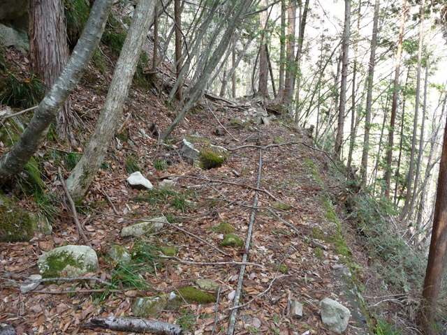 ����X�ѓS�����͐�,�ѓS,�p����,762mm,�O��,���[��