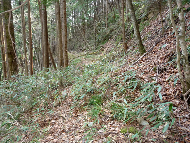 ����X�ѓS�����͐�,�ѓS,�p����,����c�я�,����c�ы�,�O����