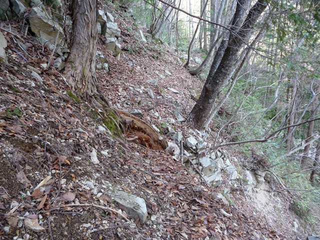 ���͐X�ѓS��,�ѓS,�p����,�؍މ^���O����,��ˏ���,�����T�R