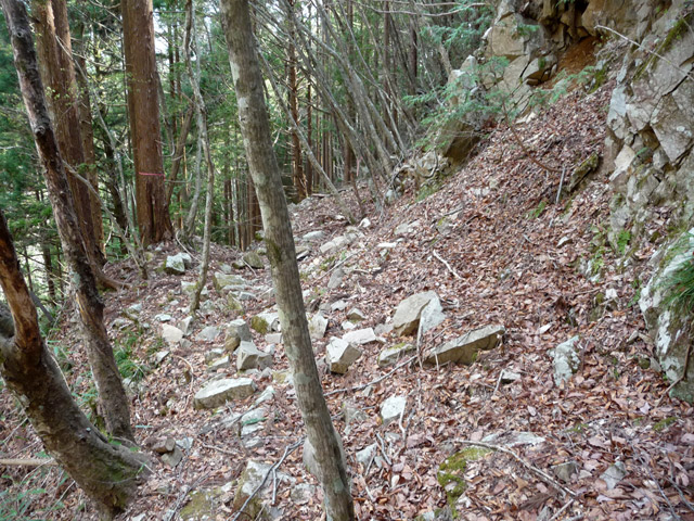 ���͐X�ѓS��,�ѓS,�p����,�c�я��O����,��ˏ���,�����T�R