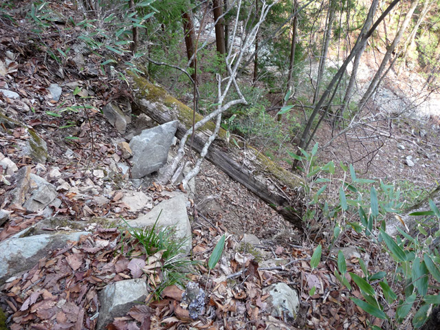 ���͐X�ѓS��,�ѓS,�p����,�c�я��O����,�V��,�����T�R