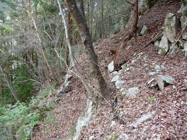 ���͐X�ѓS��,�ѓS,�p����,�y�֋O����,���É��c�ы�,�����T�R