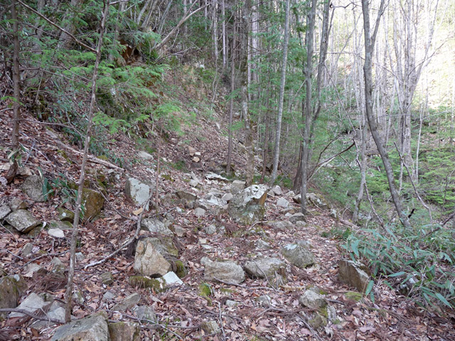 ���͐X�ѓS��,�ѓS,�p����,�y�֋O����,���É��c�ы�,����c�я�