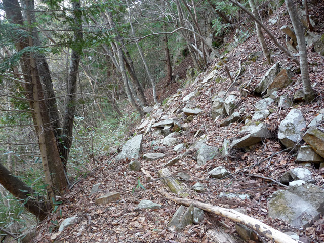 ���͐X�ѓS��,�ѓS,�p����,�y�֋O����,����,�H��