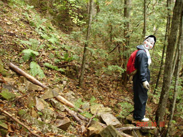 ���͐X�ѓS��,�ѓS,�p����,�O����,��ˏ���,���É��c�ы�