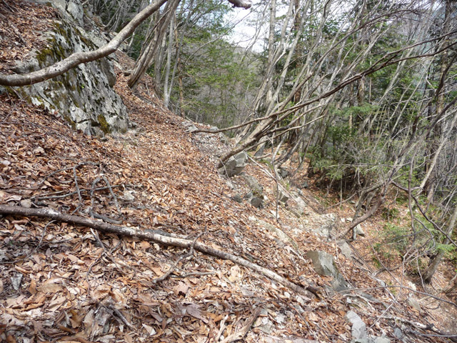 ����X�ѓS�����͐�,�ѓS,�p����,���͗ѓ�,�؍މ^���O����,����c�я�