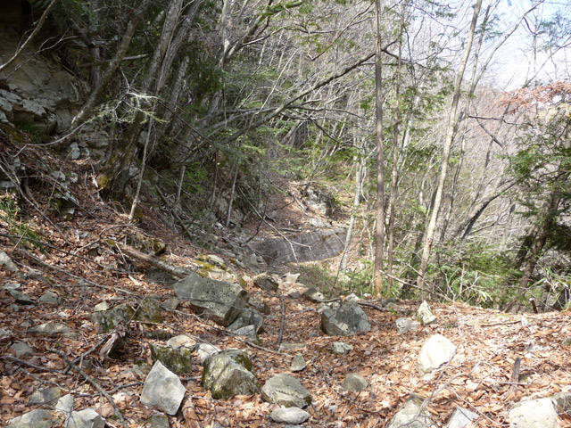 ����X�ѓS�����͐�,�ѓS,�p����,�H��,762mm,�c�я��O��