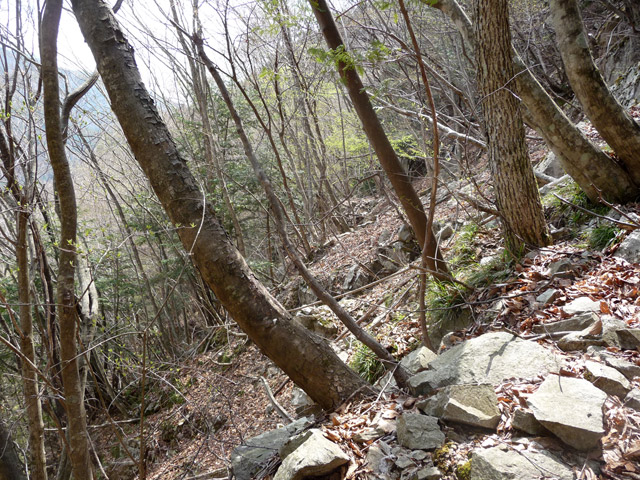 ����X�ѓS�����͐�,�ѓS,�p����,��ˏ���,���É��c�ы�,�㕔�O��