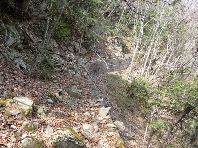 ����X�ѓS�����͐�,�ѓS,�p����,��ˏ���,���É��c�ы�,�c�я��O����