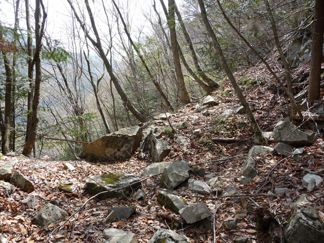 ����X�ѓS�����͐�,�ѓS,�p����,���C�s���⒬,���É��c�ы�,�g���b�R�O����