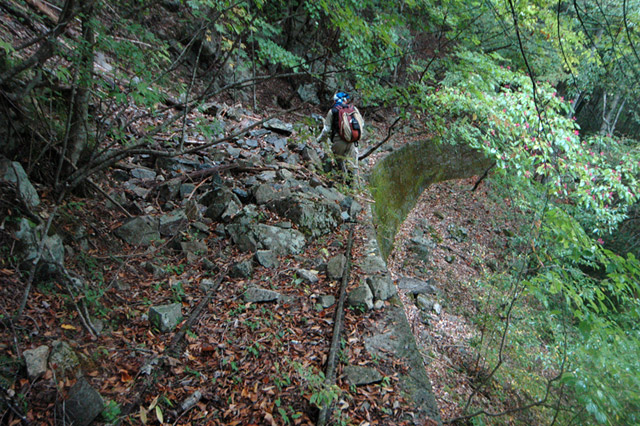 ���͐X�ѓS��,�ѓS,�p����,�i���[�O����,����,�H��