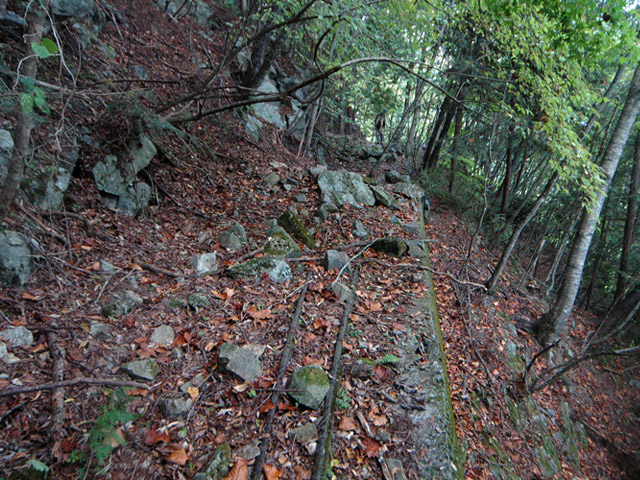 ���͐X�ѓS��,�ѓS,�p����,�i���[�O����,��ˏ���,���[��