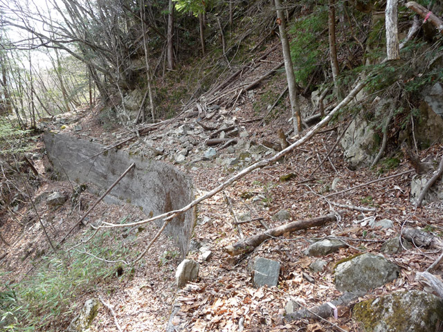 ���͐X�ѓS��,�ѓS,�p����,�؍މ^���O����,��ˏ���,�@��