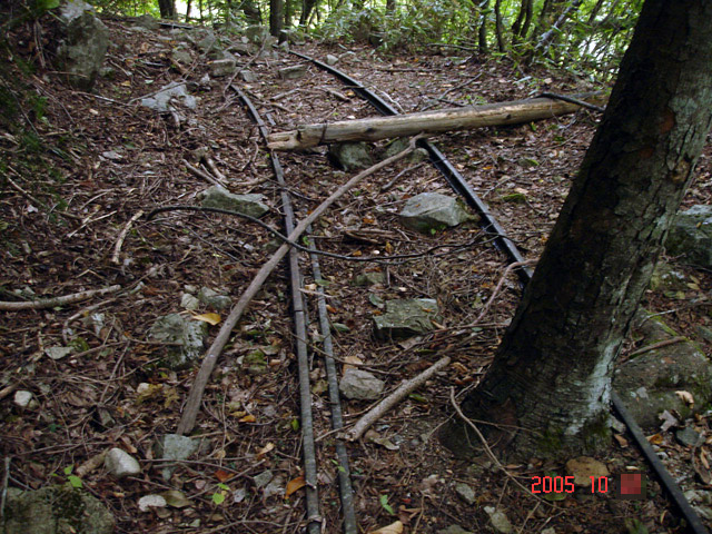 ���͐X�ѓS��,�ѓS,�p����,�؍މ^���O����,���[��,�ʐM��