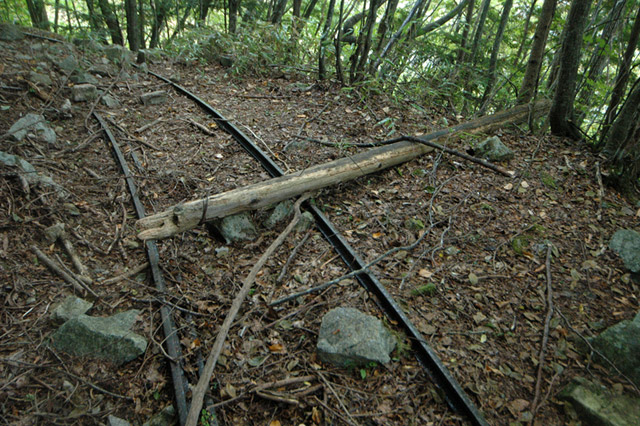 ���͐X�ѓS��,�ѓS,�p����,�؍މ^���O����,�O��,�ʐM��