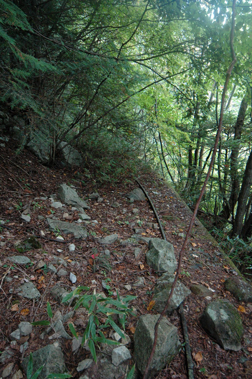 ���͐X�ѓS��,�ѓS,�p����,�؍މ^���O����,�O��,���H