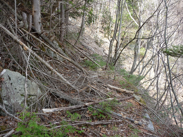 ����X�ѓS�����͐�,�ѓS,�p����,�y�؋O��,�ы�,�؍މ^���O����